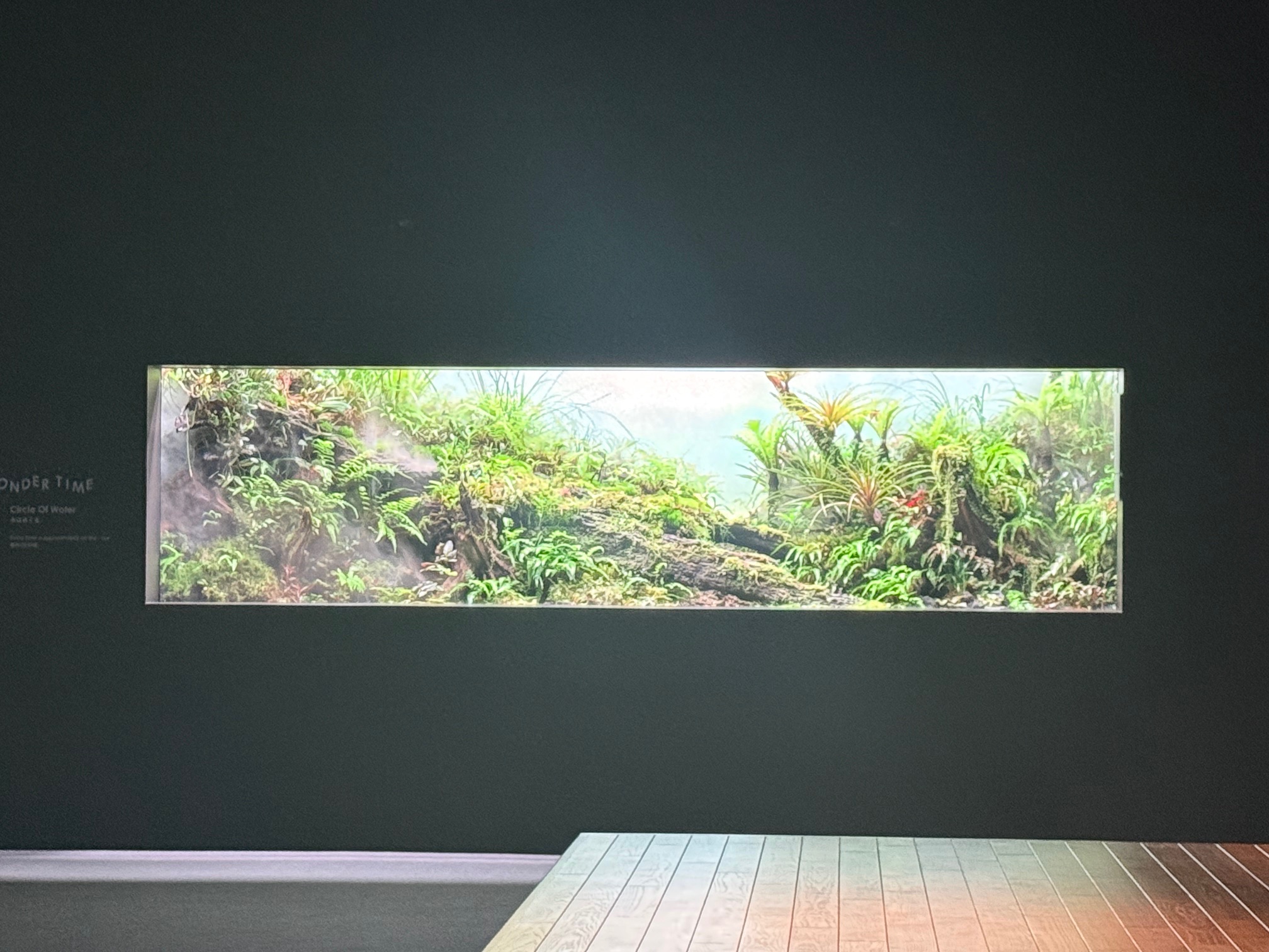 大規模なライブステージの様子